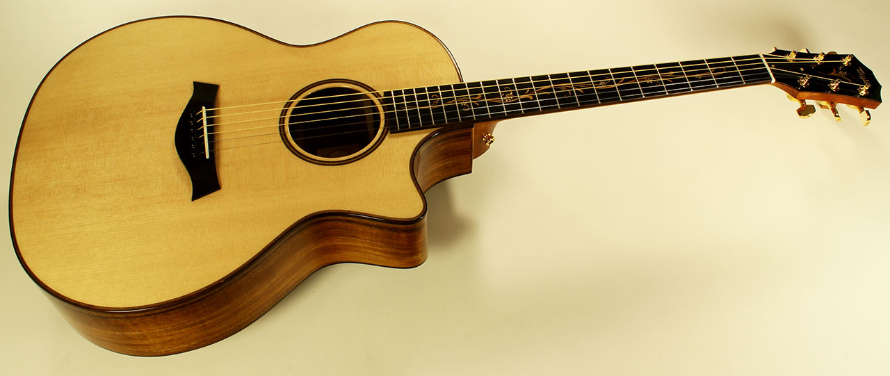 Taylor Guitar Serial Number Search
